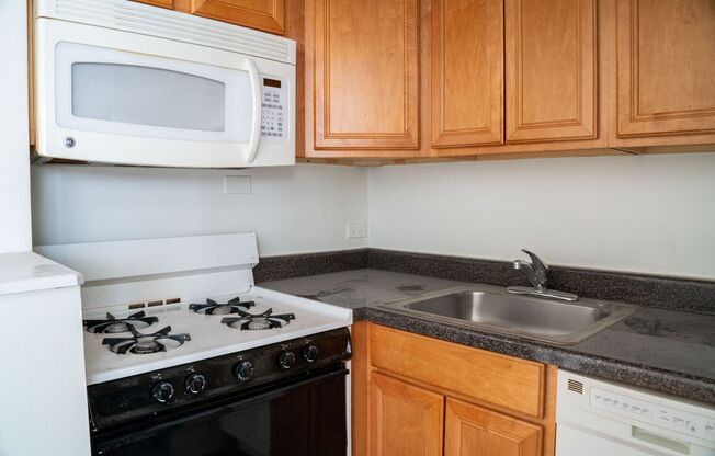 Studio, 1 bath, 245 sqft, $1,100, Unit 4545-307