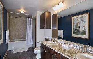 a double sink and large mirror