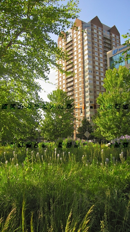 1 bed, 1 bath, 807 sqft, $3,599, Unit 1523