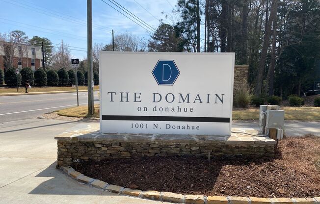 The Domain on Donahue