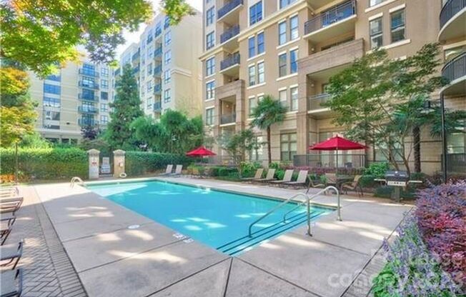 1 bed, 1 bath, $1,600