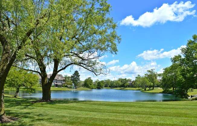Willows of Coventry Apartments Fishing Pond