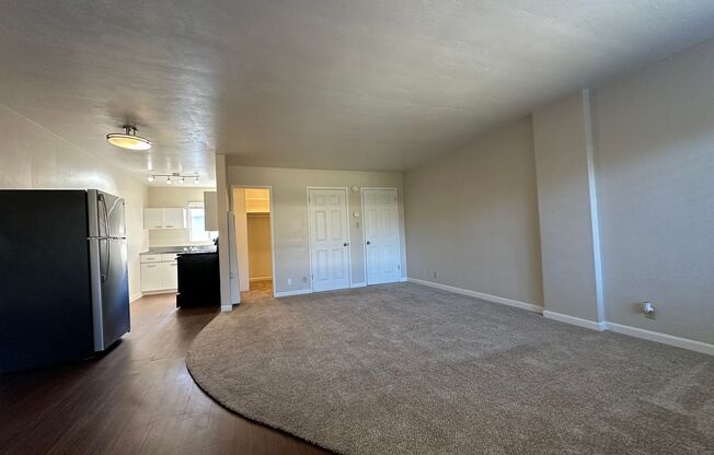 Studio, 1 bath, $1,425, Unit 209