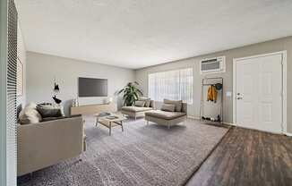 A living room with a couch, a chair, a coffee table, and a television.