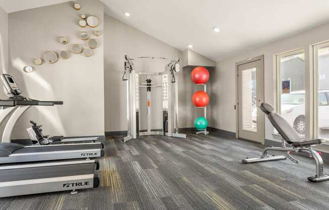 Modern Fitness Center at South Lamar Village, TX, 78704