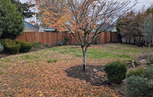 Charming Updated Salem Home with Carport Parking! ~ 1432 Park