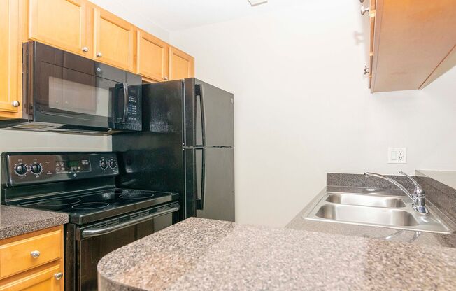 1 bed, 1 bath, $1,375