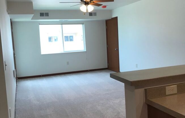 1 bed, 1 bath, 719 sqft, $1,225, Unit 203