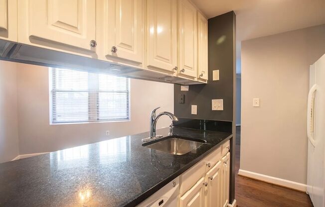 Spacious 1 Bedroom unit in Adams Morgan area
