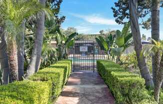 A pathway leads to a gate surrounded by green hedges and palm trees.