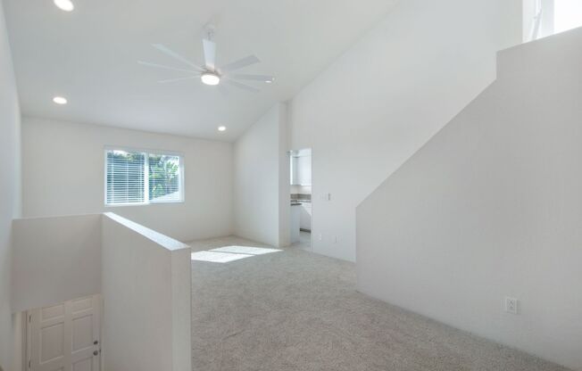 BRAND NEW REMODEL, GARAGE , Light, bright and airy!  Roof Deck,  Bay and Ocean View