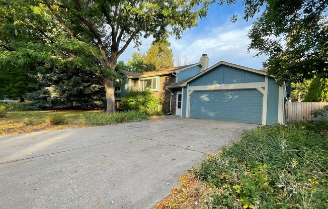 Great Home in Fort Collins