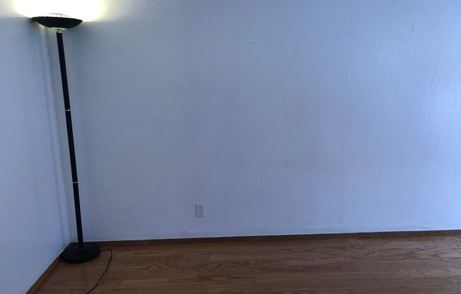 OPEN HOUSE: Sunday (5/25) 12:30pm-12:50pm. Spacious Studio in a great location, Shared Laundry, Parking Available (170 Wood #3)