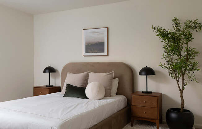 A bedroom with a large bed, two lamps, a potted plant, and a framed picture on the wall.