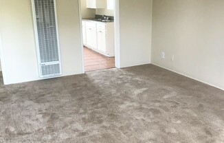 Studio, 1 bath, $1,395, Unit 19