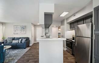 the preserve at ballantyne commons apartment living room and kitchen