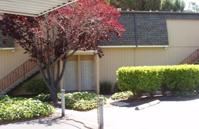 Vallejo Studio available for rent in excellent location over looking Dan Foley Park