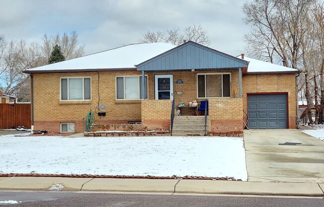 Lower level 2 bed/1 bath home with shared back yard