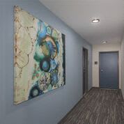 Carpeted Hallway  with Art on Blue walls leading to apartments at Arabella Apartment Homes, Washington