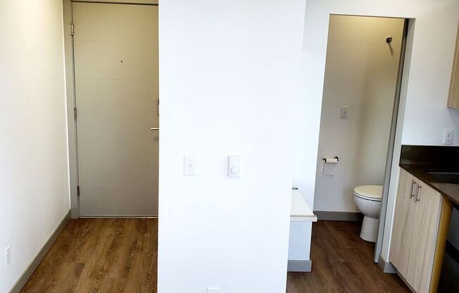 Studio, 1 bath, 167 sqft, $999, Unit D318