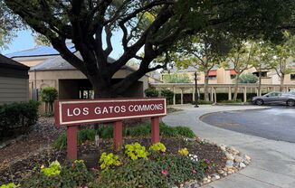 Los Gatos quality condo