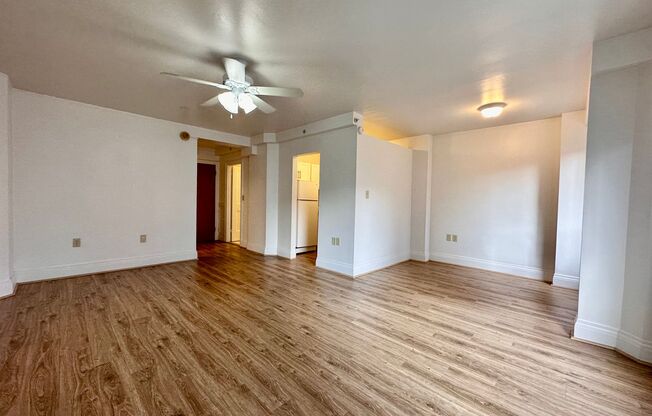 Studio, 1 bath, 527 sqft, $1,525, Unit 0710