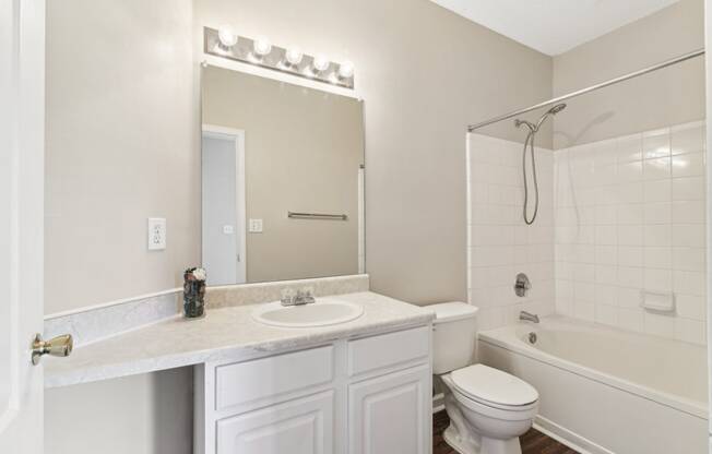 a bathroom with a sink toilet and a shower