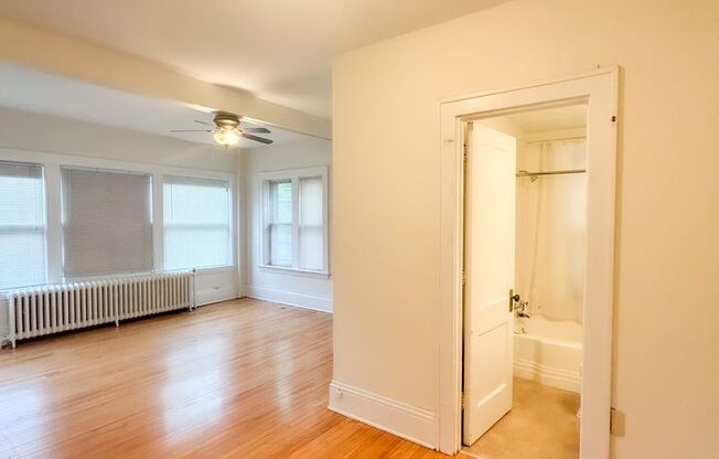 Studio, 1 bath, 325 sqft, $900, Unit 101