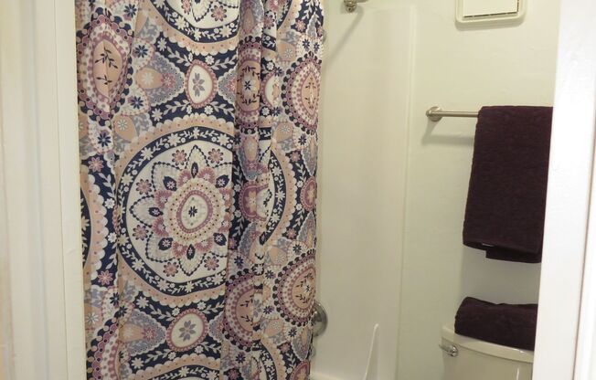 Studio, 1 bath, 413 sqft, $879, Unit 370