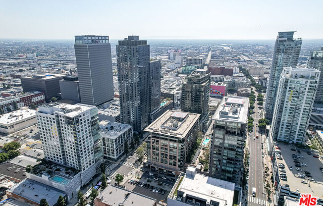 1 bed, 1 bath, 930 sqft, $2,800, Unit 513