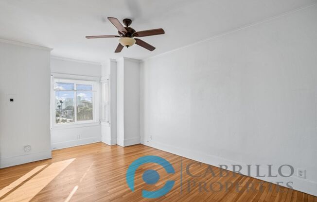 Studio, 1 bath, 341 sqft, $1,750, Unit 206