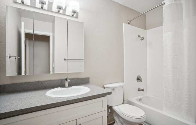 a bathroom with a sink toilet and a mirror