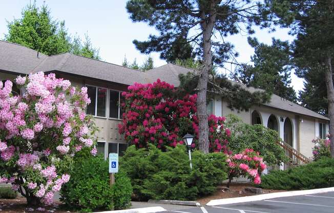 The Perfect Blend of Comfort & Convenience