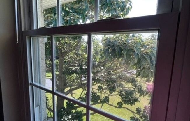 2 beds, 1 bath, 900 sqft, $1,525, Unit 933