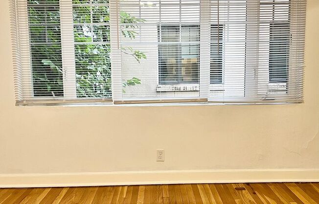 Studio, 1 bath, 467 sqft, $1,025, Unit 209