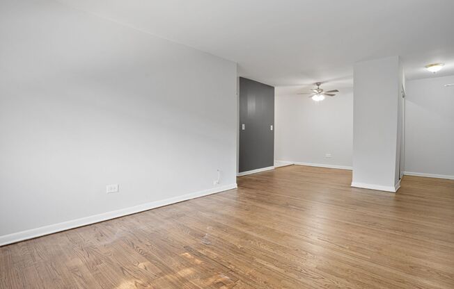 1 bed, 1 bath, 536 sqft, $1,750, Unit 331