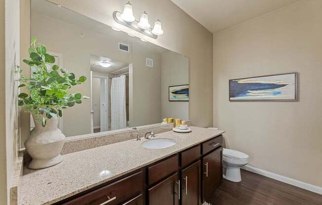 A bathroom with a sink, toilet, and a mirror.