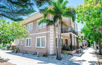 533 1/2 2nd Street North Saint Petersburg, FL 33701