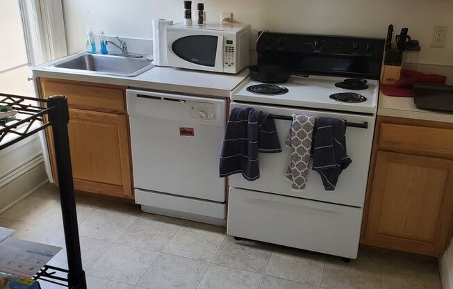 Studio, 1 bath, 164 sqft, $900, Unit 03A