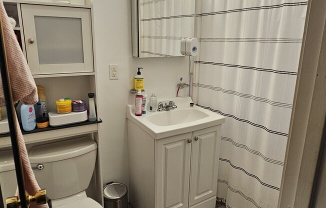 1 bed, 1 bath, $3,000, Unit 301