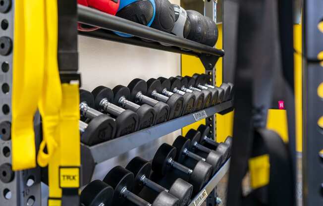 Free Weights and TRX Bands at the Fitness Center