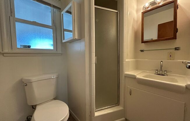 Studio, 1 bath, 300 sqft, $1,295, Unit 11146 1/2