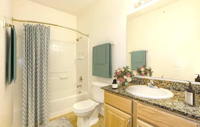 a bathroom with a sink toilet and a shower