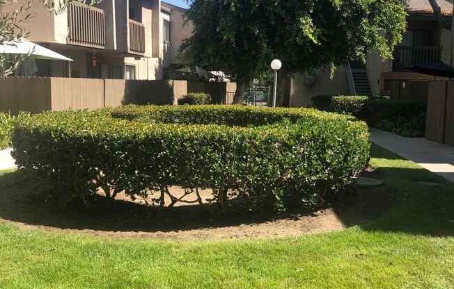 1 bed, 1 bath, 674 sqft, $1,895, Unit 183