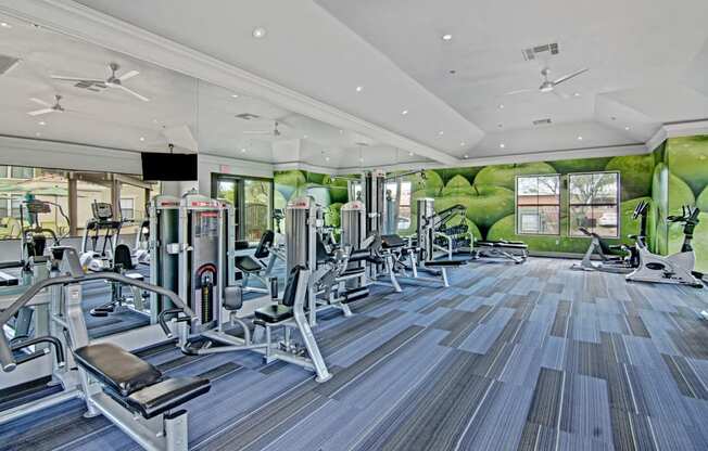 State Of The Art Fitness Center at Andante Apartments, Arizona, 85048