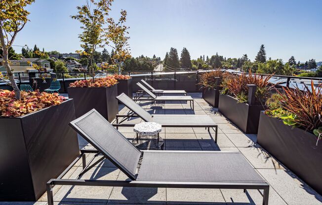 Welcome to Reed! Brand New Modern Studios with Full Appliance Package & Amenities in Fremont