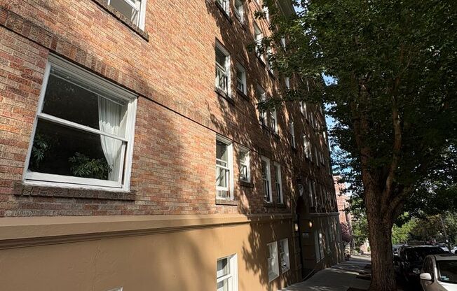 Studio, 1 bath, 440 sqft, $1,250, Unit 501