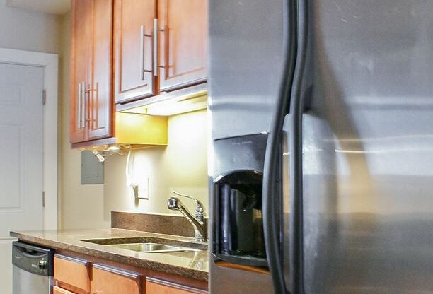 1 bed, 1 bath, 553 sqft, $2,250, Unit 3453-1