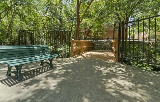 A park bench sits in the shade of a tree.
