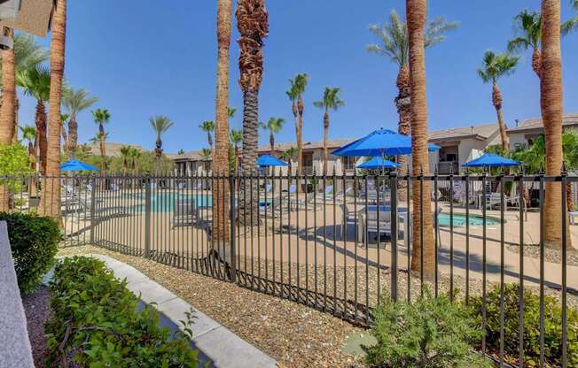 A pool surrounded by palm trees and a black fence.